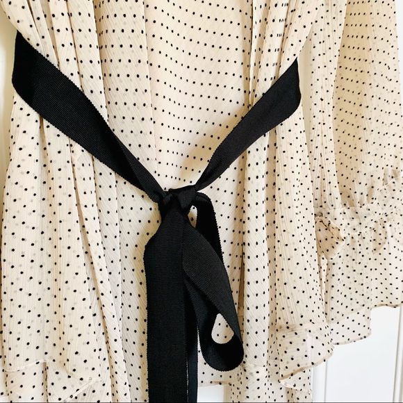 HOSS INTROPIA (ANTHROPOLOGIE) Cream w/ black polka dots Chiffon 2-Layer Blouse - Picture 8 of 12